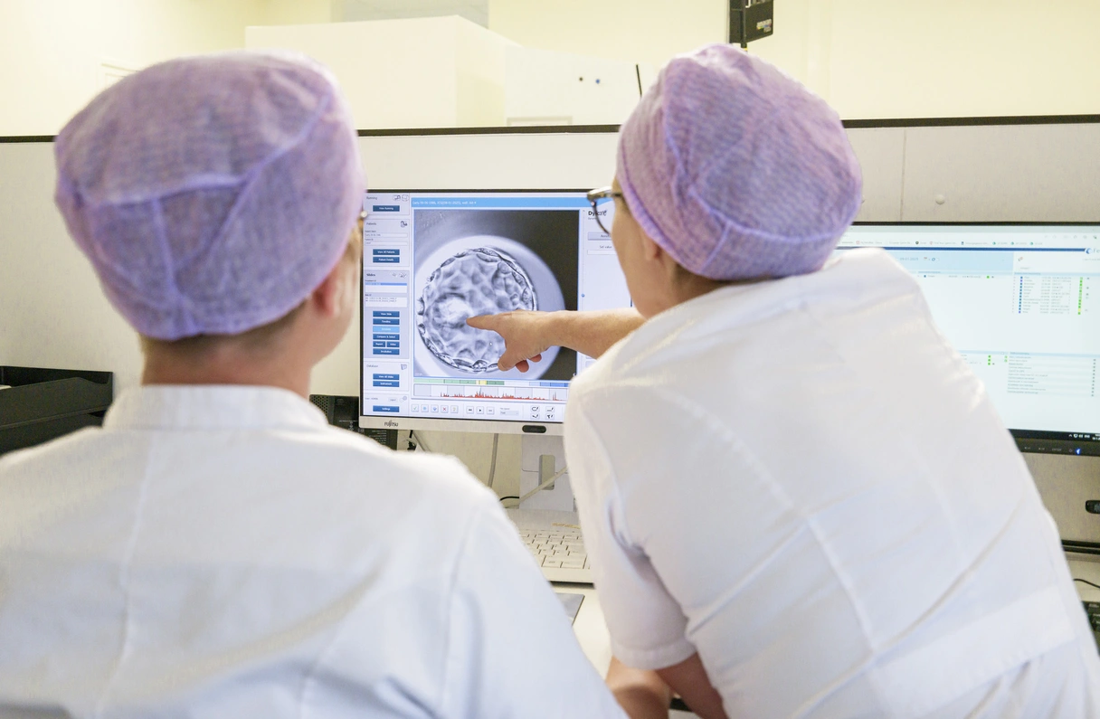 De embryoloog en analist beoordelen de ontwikkeling van het embryo